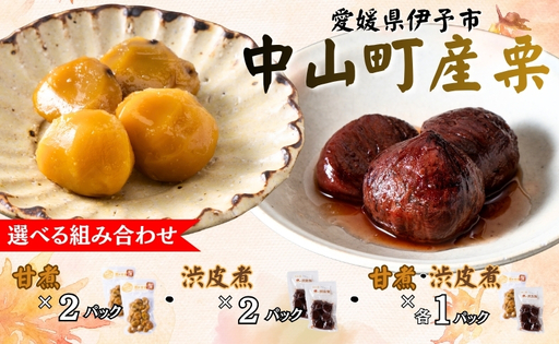中山町産栗 栗の甘煮 200g×2パック セット 真空包装 ゆうパケット便 栗 愛媛 数量限定 お正月 年越し 迎春 お年賀 手作り 年末 年始 きんとん 伊予市|B04