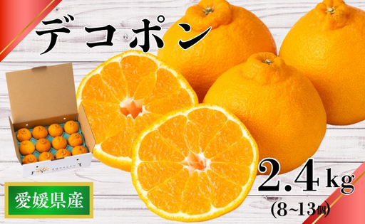 【2027年先行予約】デコポン 2.4kg みかん 【2027年3月上旬から順次発送予定】 人気 数量限定 柑橘 愛媛 伊予市｜B32