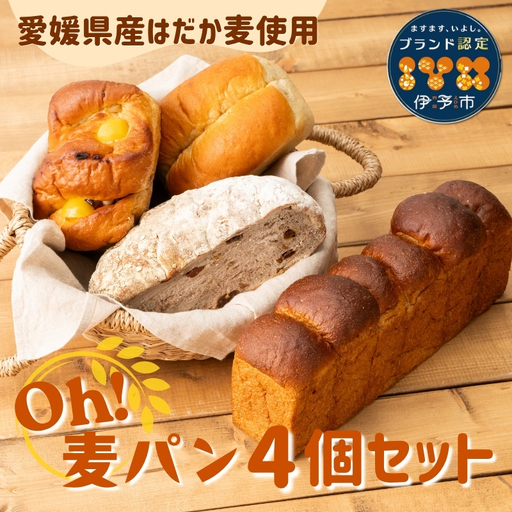 パン 無添加 老舗 4個セット ブレッド おまかせ ランダム 詰め合わせ ブランド認定 学校給食 朝食 朝ごはん 季節 おすすめ はだか麦 国産小麦 国産素材 おやつ こだわり 食物繊維豊富 安心 安全 篠崎ベーカリー 愛媛 伊予市 
