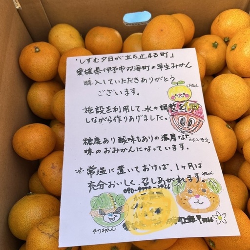 みかん 愛媛 オーガニック完熟早生みかん 10kg 人気 数量限定 柑橘 伊予市｜B91