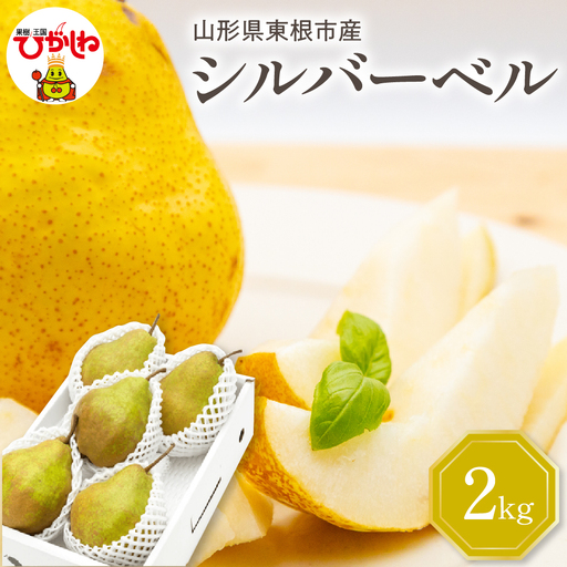 [2026年産]西洋梨 シルバーベル 2kg 秀品 化粧箱入 西洋梨