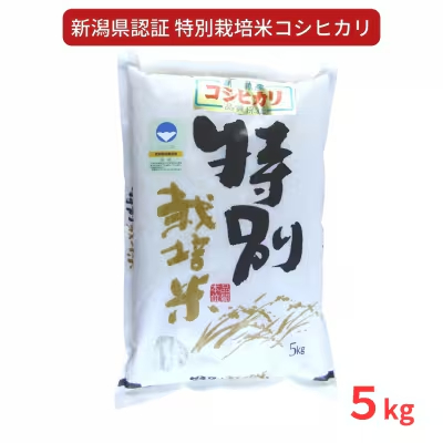 特別栽培米 コシヒカリ5kg 新潟県認証 令和7年 三条市 コシヒカリ アグリ巧房