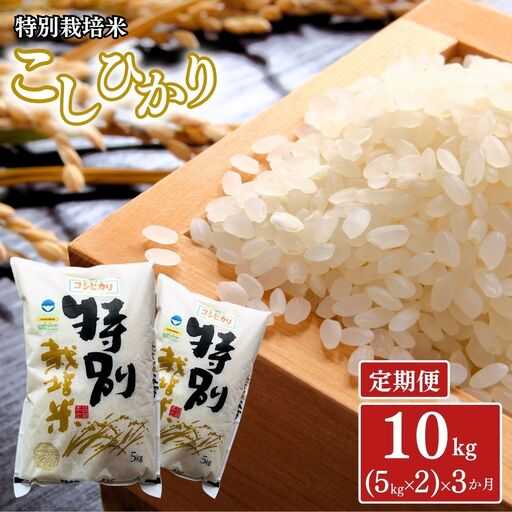 [定期便10kg (5kg×2袋)×3ヶ月] 特別栽培米 コシヒカリ10kg 令和8年産 新潟県認証 三条市産 アグリ巧房