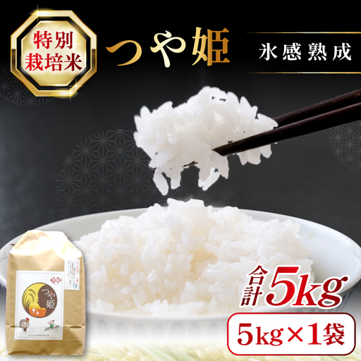 氷感熟成「つや姫」5kg【米 5kg つや姫 特別栽培米 こめ おこめ お米 島根県産 大田市産 氷感熟成 石見銀山氷感つや姫 減農薬 減化学肥料】