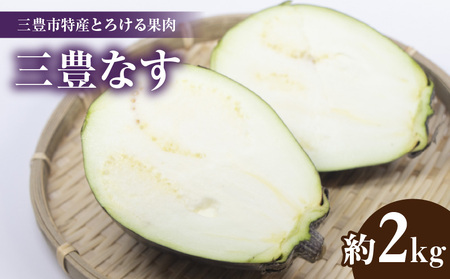 三豊市特産とろける果肉「三豊なす」約2kg