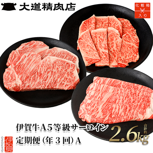 伊賀牛 【化粧箱入】 A5 サーロイン 3回定期便コースA 伊賀牛 【dido-tkb0001】