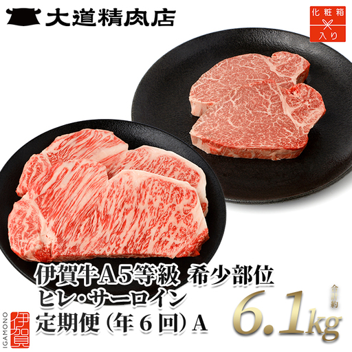 伊賀牛 【年6回】A5ヒレ・サーロイン 定期便A 総合計約6.1kg【dido-tkb0006】
