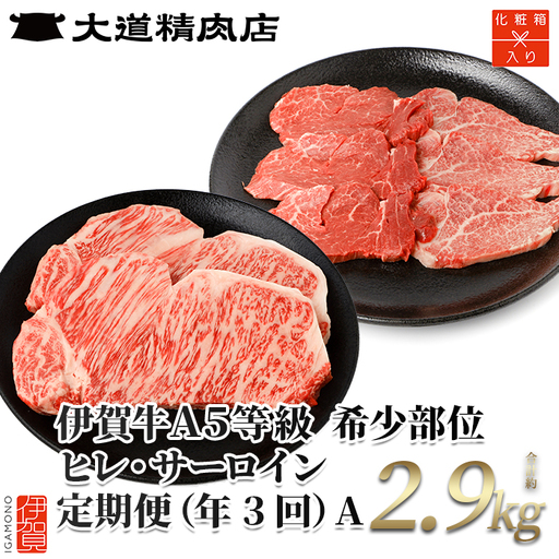 伊賀牛 【年3回】 A5 ヒレ・サーロイン 定期便A 総合計約2.9kg 伊賀牛 【dido-tkb0012】