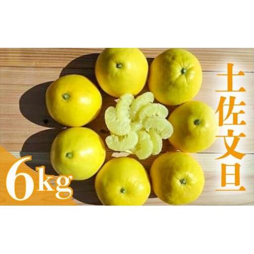 【早期予約】 土佐文旦 6kg 優品 混合