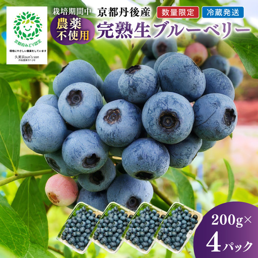京都産 完熟ブルーベリー 200g×4パック｜フルーツ ベリー