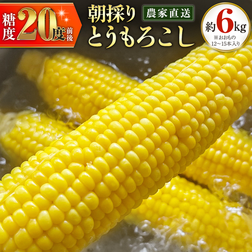 とうもろこし 6kg おおもの 朝採り 農家直送 【 先行予約 2026年7月中旬以降発送】