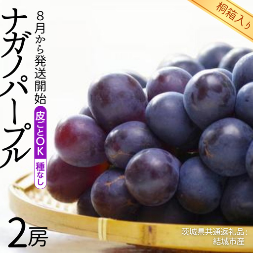 【 桐箱入り 】 ナガノパープル 2房 【2026年8月から発送開始】（茨城県共通返礼品 [ぶどう]：結城市産）