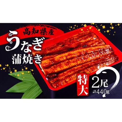 [ 国産うなぎ ] 国産うなぎ 有頭 うなぎ蒲焼き 220g 2尾