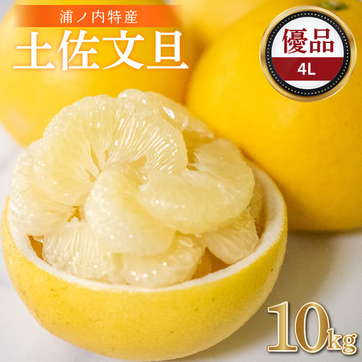 【早期予約開始 2027年2月頃より順次発送】 文旦 土佐文旦 10kg 4L サイズ 優品 贈答 果物 フルーツ 文旦 ぶんたん ブンタン 浦ノ内 みかん 蜜柑 柑橘 分担 旬 時期 数量限定 期間限定 予約開始 産地直送 美味しい おいしい 爽やか スイーツ おやつ デザート 皮 ピール 砂糖 漬け ビタミン ジューシー フレッシュ 新鮮 明神果樹園 高知県 須崎市