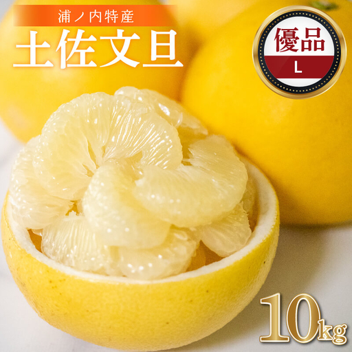 【早期予約開始 2027年2月頃より順次発送】  文旦 土佐文旦 10kg L サイズ 優品 贈答 果物 フルーツ 文旦 ぶんたん ブンタン 浦ノ内 みかん 蜜柑 柑橘 分担 旬 時期 数量限定 期間限定 予約開始 産地直送 美味しい おいしい 爽やか スイーツ おやつ デザート 皮 ピール 砂糖 漬け ビタミン ジューシー フレッシュ 新鮮 明神果樹園 高知県 須崎市