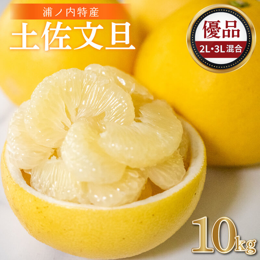 【早期予約開始 2027年2月頃より順次発送】 文旦 土佐文旦 10kg 2L ~ 3L サイズ 優品 贈答 果物 フルーツ 文旦 ぶんたん ブンタン 浦ノ内 みかん 蜜柑 柑橘 分担 旬 時期 数量限定 期間限定 予約開始 産地直送 美味しい おいしい 爽やか スイーツ おやつ デザート 皮 ピール 砂糖 漬け ビタミン ジューシー フレッシュ 新鮮 明神果樹園 高知県 須崎市