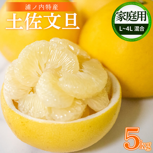 【早期予約】 訳あり 家庭用 土佐文旦5kg L ~ 4L 