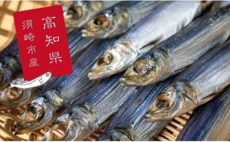特上品 うるめ いわし 300g おやつおやつおやつおやつおやつおやつ