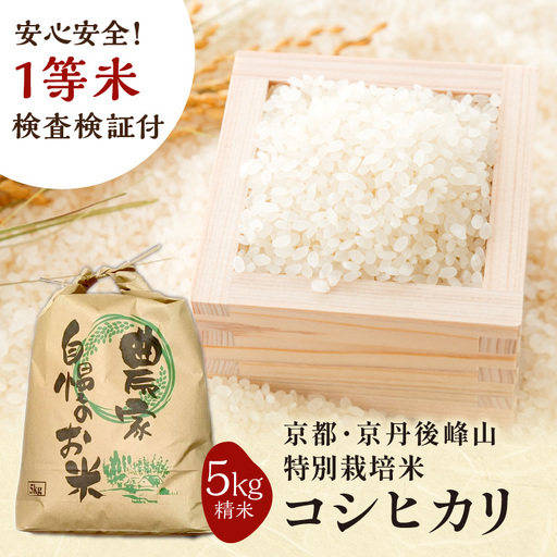 2026年産 京都・京丹後峰山 特別栽培米コシヒカリ 5kg 【白米】 1等米 検査済証付 米 ふるさと納税 コシヒカリ ふるさと納税 白米 ふるさと納税 お米 ご飯 ごはん おいしい コメ コシヒカリ