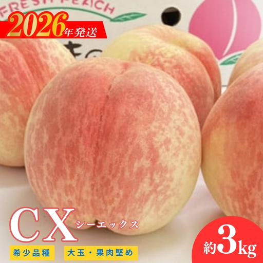 No.2580希少品種CX/シ－エックス 約3kg【2026年発送　先行受付】