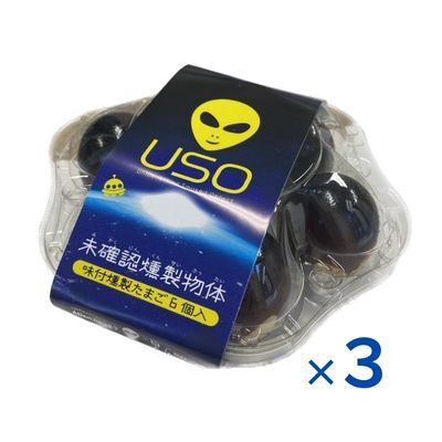 No.2586未確認燻製物体 USO（味付燻製たまご）