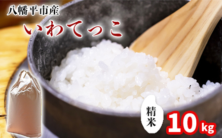 新米 先行予約 【令和8年産】 いわてっこ 精米 10kg （5kg×2袋）《2026年11月中旬より順次発送開始予定》 ／ 白米 岩手県産 中沢農産