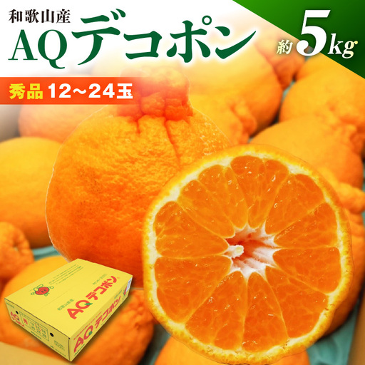 【2027年先行予約】和歌山県産 AQ デコポン 5kg 秀品 (12～24玉)_DN6012n