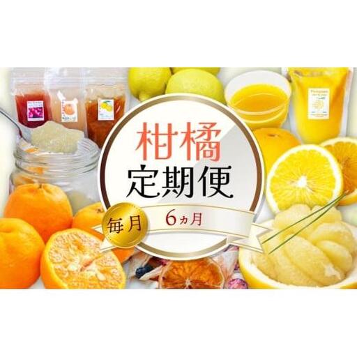 定期便 6回 6ヶ月 果物 ぽんかん 土佐文旦 レモン はっさく 小夏 ジュース