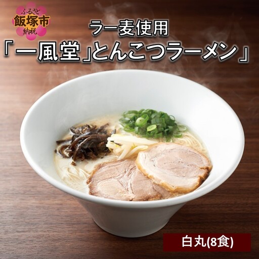 ラー麦使用「一風堂」とんこつラーメン 白丸(8食)【A2-117】