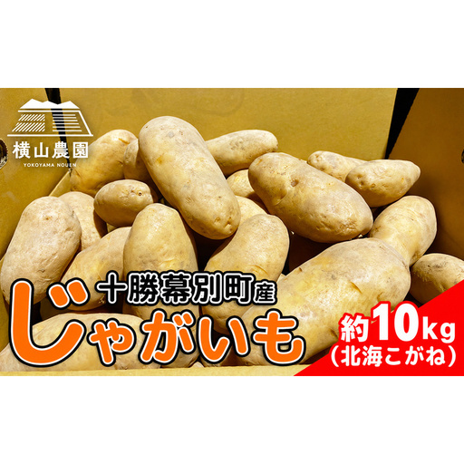 先行予約 じゃがいも 約10kg 北海こがね 野菜 じゃがいも