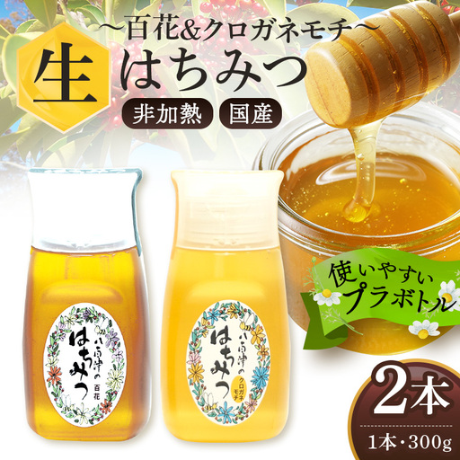 日本蜜蜂の純粋天然生百花蜜　300g×2本セット はちみつ 百花 クロガネモチ 各300g 計2本 天然 非加熱 純粋 生