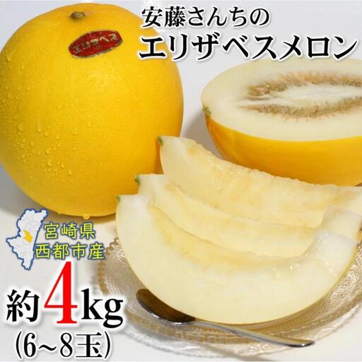 [先行予約]2027年発送 安藤さんちのエリザベスメロン約4kg すっきりした甘さ[23-15b]