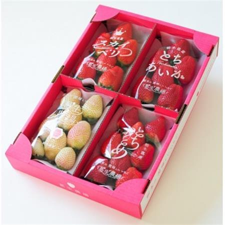 よりどりみどり!　栃木いちご4種詰め合わせ　(300g×4パック)_果物・フルーツ いちご  イチゴ 苺_【配送不可地域：離島】【1386670】