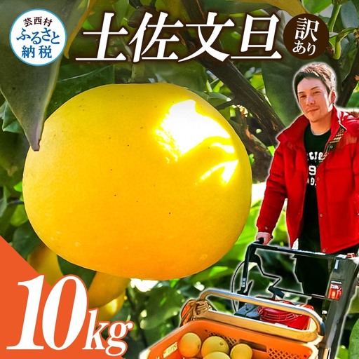 【先行予約】訳あり 土佐文旦 10kg 高知県産 【文旦】