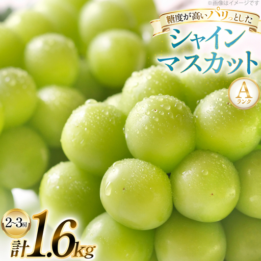 【期間限定発送】 シャインマスカット Aランク 2～3房1.6kg