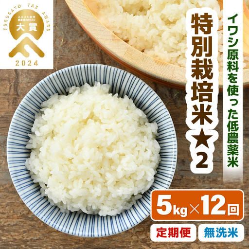 【先行予約】【令和8年産】《定期便12回》特別栽培米 コシヒカリ 5kg × 12回 （計60kg） 無洗米 低農薬 / 北陸 福井県産 あわら市 ブランド米 白米 お米 コメ 特栽米 ※2026年10月上旬以降順次発送予定 [aw056-k001]
