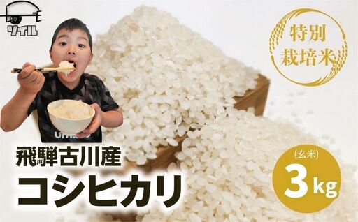 令和8年産 コシヒカリ 玄米 3kg /  米 新米 コシヒカリ ソイル