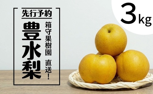 【 先行予約 】箱守果樹園 直送！ 豊水梨 3kg