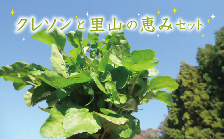 はぜのクレソンと里山の恵みセット(11月〜4月発送)[1-224]