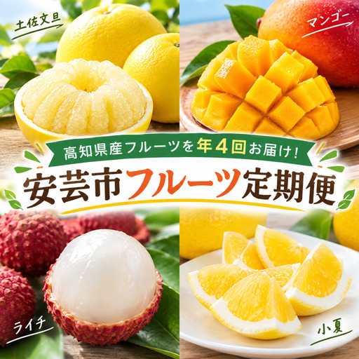 ＜4回定期便＞高知ブランドの旬のフルーツ定期便｜文旦 小夏 マンゴー ライチ【ZZ001】