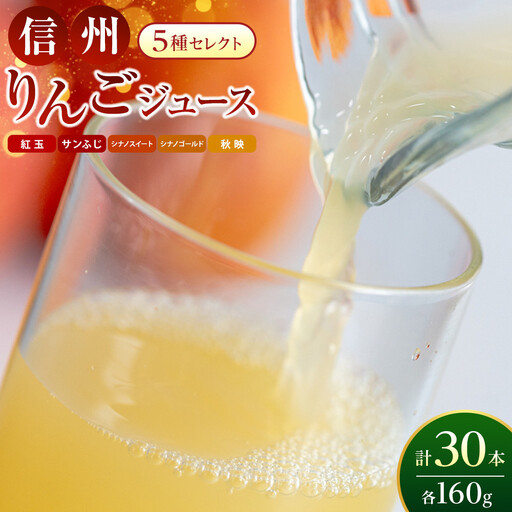 信州りんごジュース5種セレクト(紅玉・サンふじ・シナノスイート・シナノゴールド・秋映) 160g×6本×5品種 計30本入 リンゴ ジュース りんご 林檎 果汁 果実飲料 缶 お土産 ギフト 行事 長野 |   リンゴ ジュース りんご 林檎 果汁 果実飲料  ギフト 飲み比べ 人気 おすすめ プレゼント 送料無料  長野県 長野市 信州 信濃 ふるさと納税