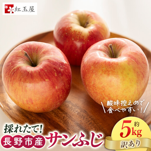 紅玉屋 長野市産[訳あり]サンふじ5kg[2026年12月上旬以降の出荷分](紅玉屋) | りんご フルーツ りんご