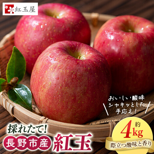 紅玉屋 長野市産 紅玉 4kg[2026年9月下旬以降の出荷分](紅玉屋) | りんご 林檎 フルーツ りんご