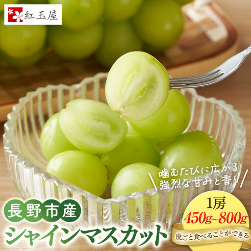 ★ 紅玉屋 長野市産大粒シャインマスカット1房（約450g～800g）【2026年9月上旬頃より順次発送】  |シャインマスカット ぶどう フルーツ