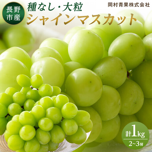 金オ岡村青果株式会社 長野市産 シャインマスカット1kg【2026年9月以降出荷分】フルーツ ぶどう 葡萄 果物 人気 種なし 数量限定 令和8年 産地 長野 | シャインマスカット