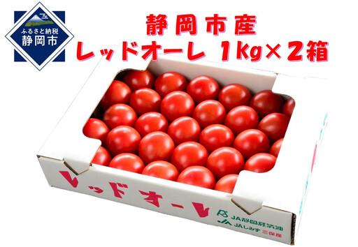 [2026年12月より順次発送]完熟中玉トマト レッドオーレ2箱[配送不可:北海道・沖縄・離島]◆