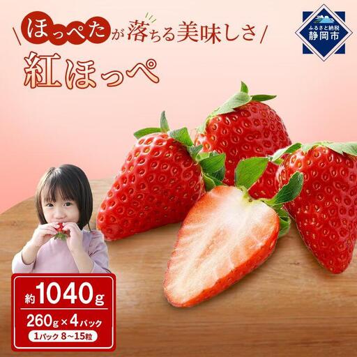 【2027年2月上旬より順次発送】いちご ほっぺたが落ちる 紅ほっぺ  4パック 果物 イチゴ 苺 おやつ ギフト 贈答品 お祝い プレゼント 国産 フルーツ くだもの◆