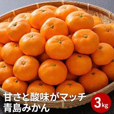 【2027年1月中旬より順次発送】甘さと酸味がマッチ　青島みかん3kg