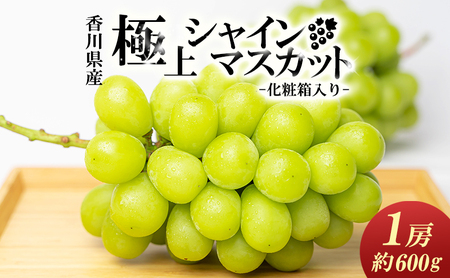 綾川町産 極上シャインマスカット 大房1房(化粧箱入り)