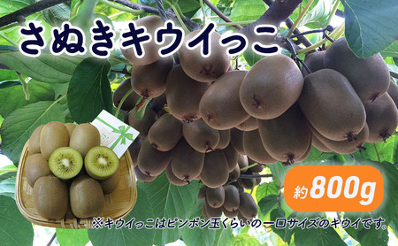 さぬきキウイっこ 約800g_キウイフルーツ 果物詰合せ くだもの